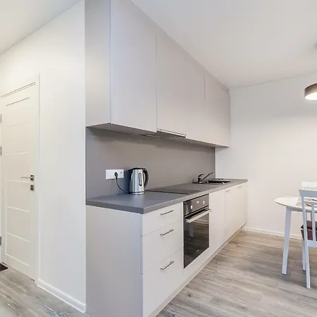 1 Near Center With A Roof Terrace And Parking Apartamento Vilna
