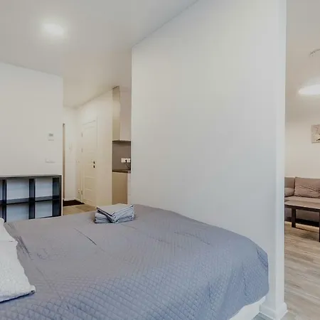 1 Near Center With A Roof Terrace And Parking