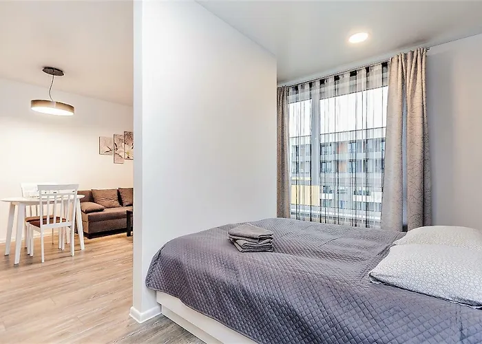 1 Near Center With A Roof Terrace And Parking Wilna