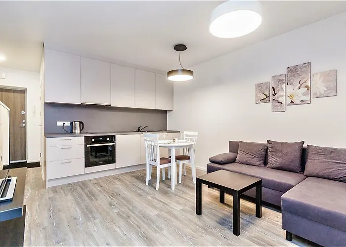 1 Near Center With A Roof Terrace And Parking Apartment *