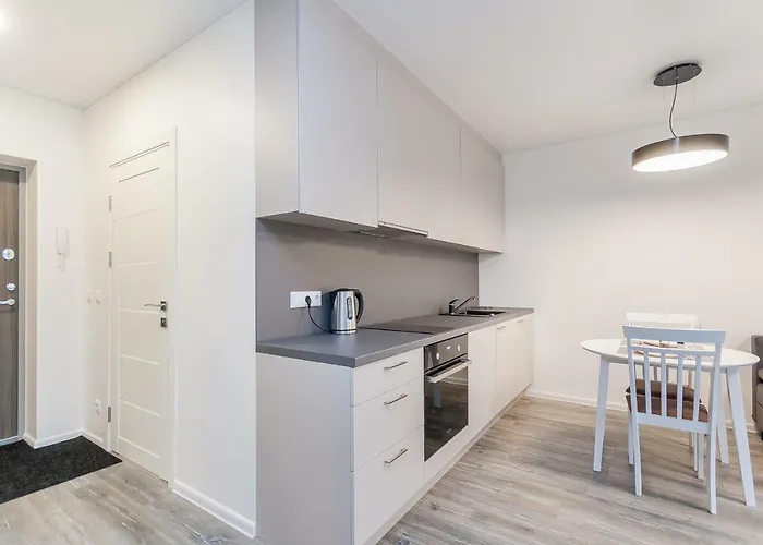 1 Near Center With A Roof Terrace And Parking Daire Vilnius