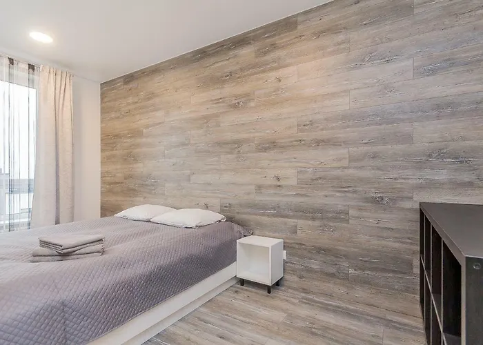 1 Near Center With A Roof Terrace And Parking * Vilnius